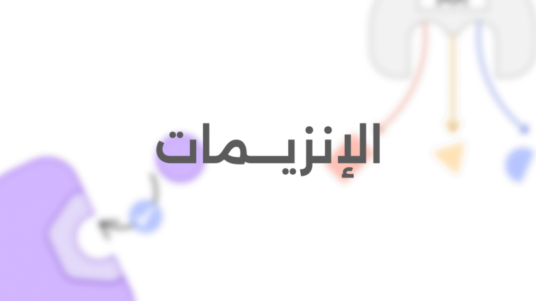 الإنزيـــمات