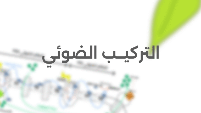 التركيـــب الضوئي