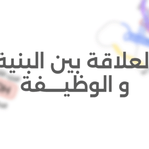 العلاقة بين بنية ووظيفة البروتين