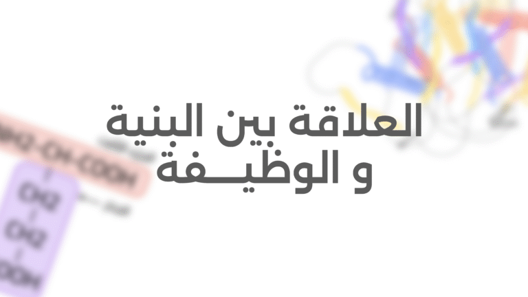 العلاقة بين بنية ووظيفة البروتين