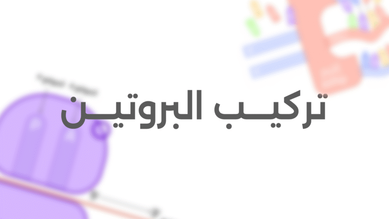 تركيــب البروتيـــن